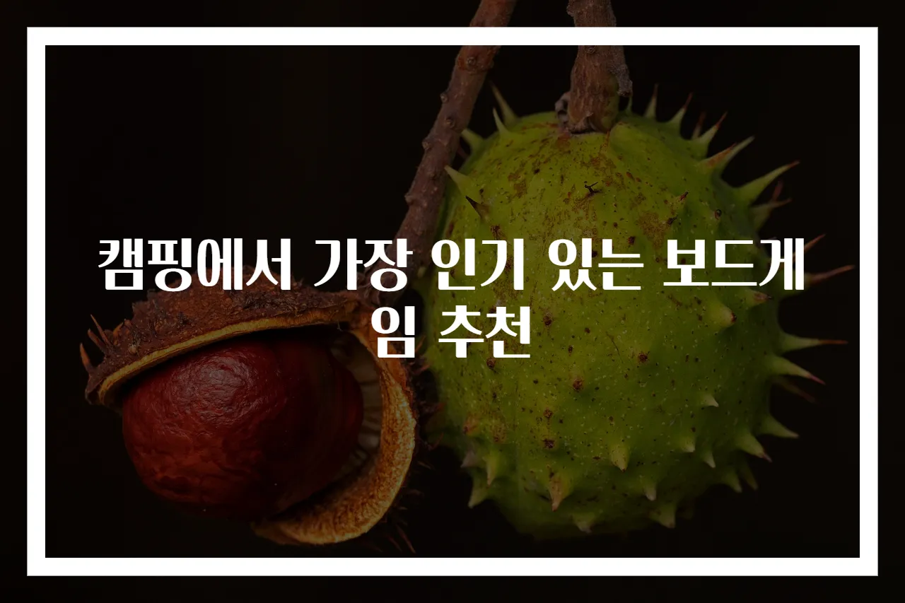 캠핑에서 가장 인기 있는 보드게임 추천