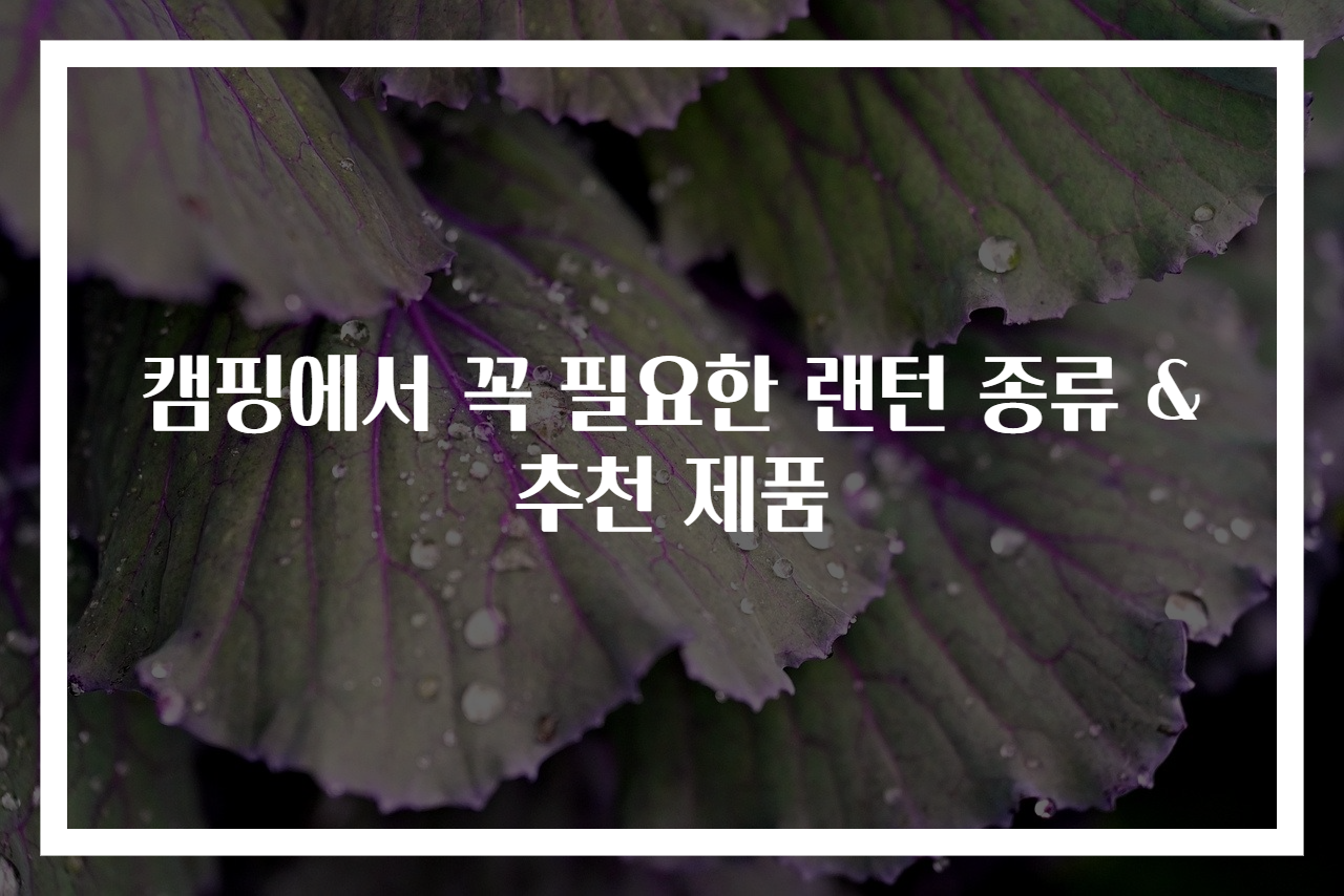 캠핑에서 꼭 필요한 랜턴 종류 & 추천 제품