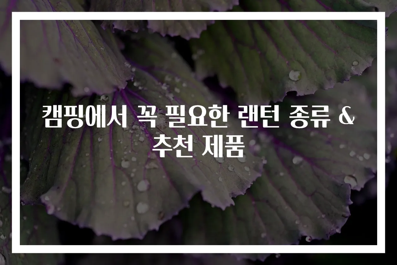 캠핑에서 꼭 필요한 랜턴 종류 & 추천 제품