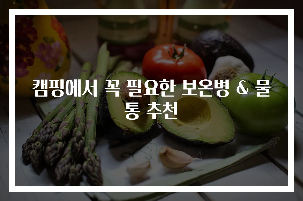 캠핑에서 꼭 필요한 보온병 & 물통 추천