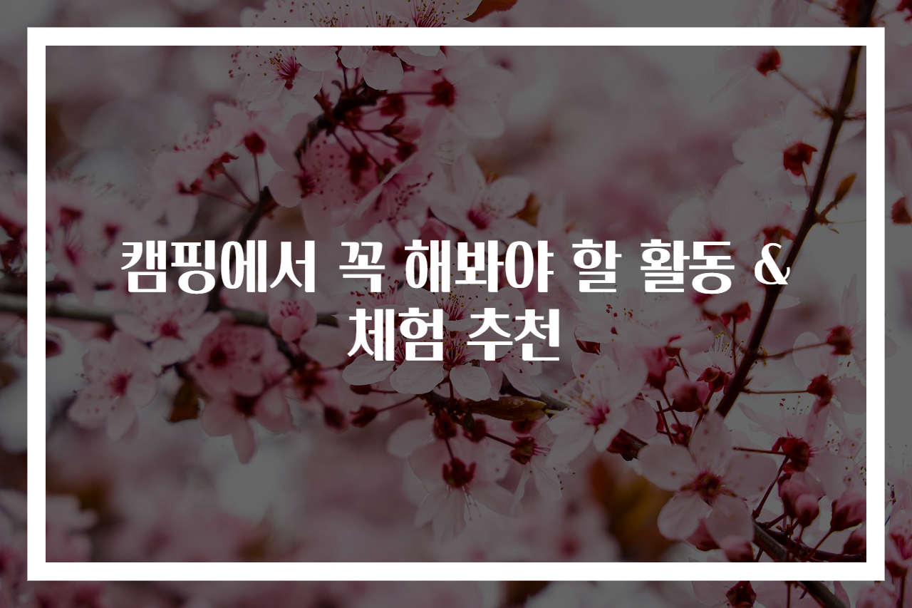 캠핑에서 꼭 해봐야 할 활동 & 체험 추천