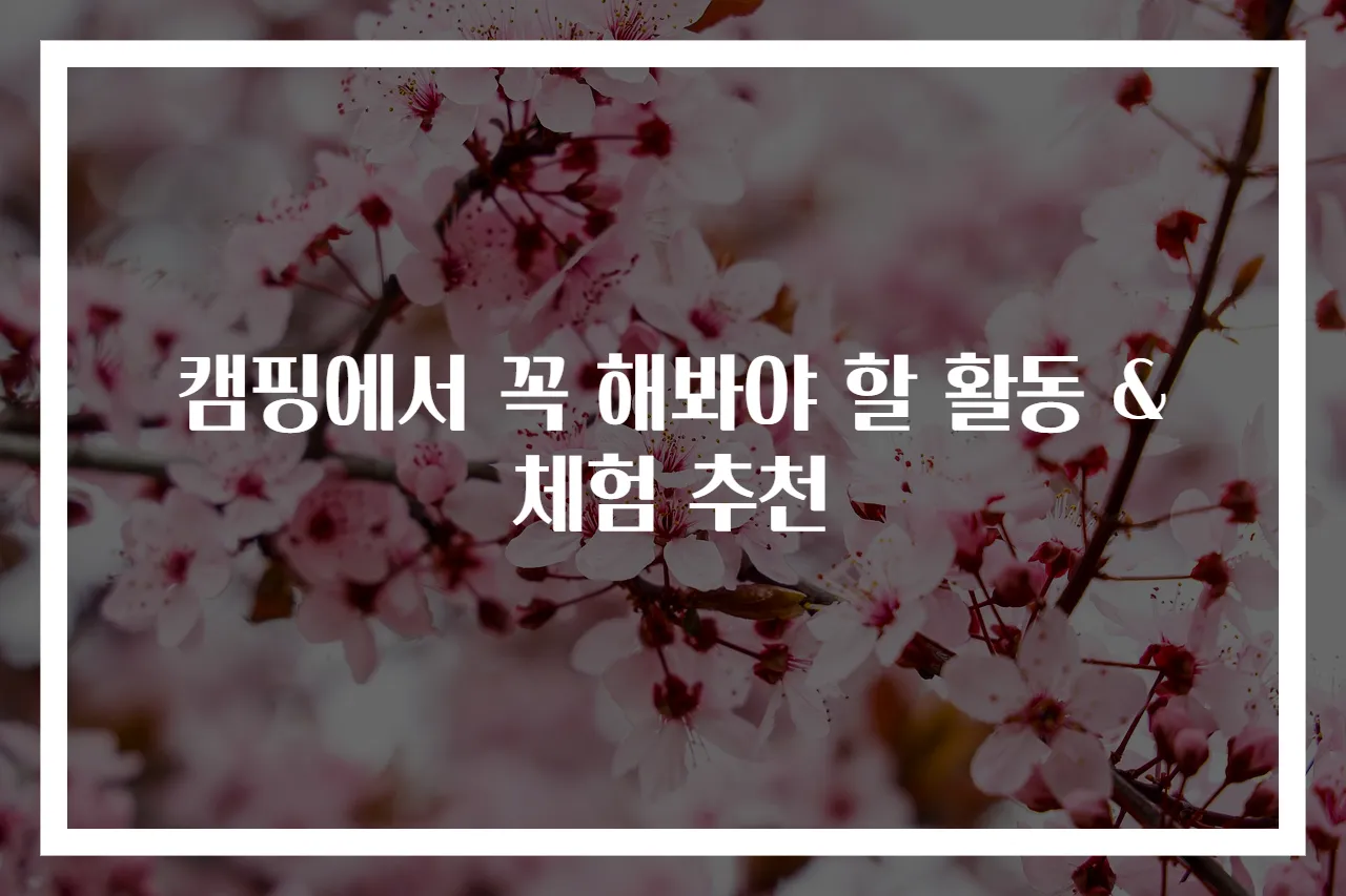 캠핑에서 꼭 해봐야 할 활동 & 체험 추천