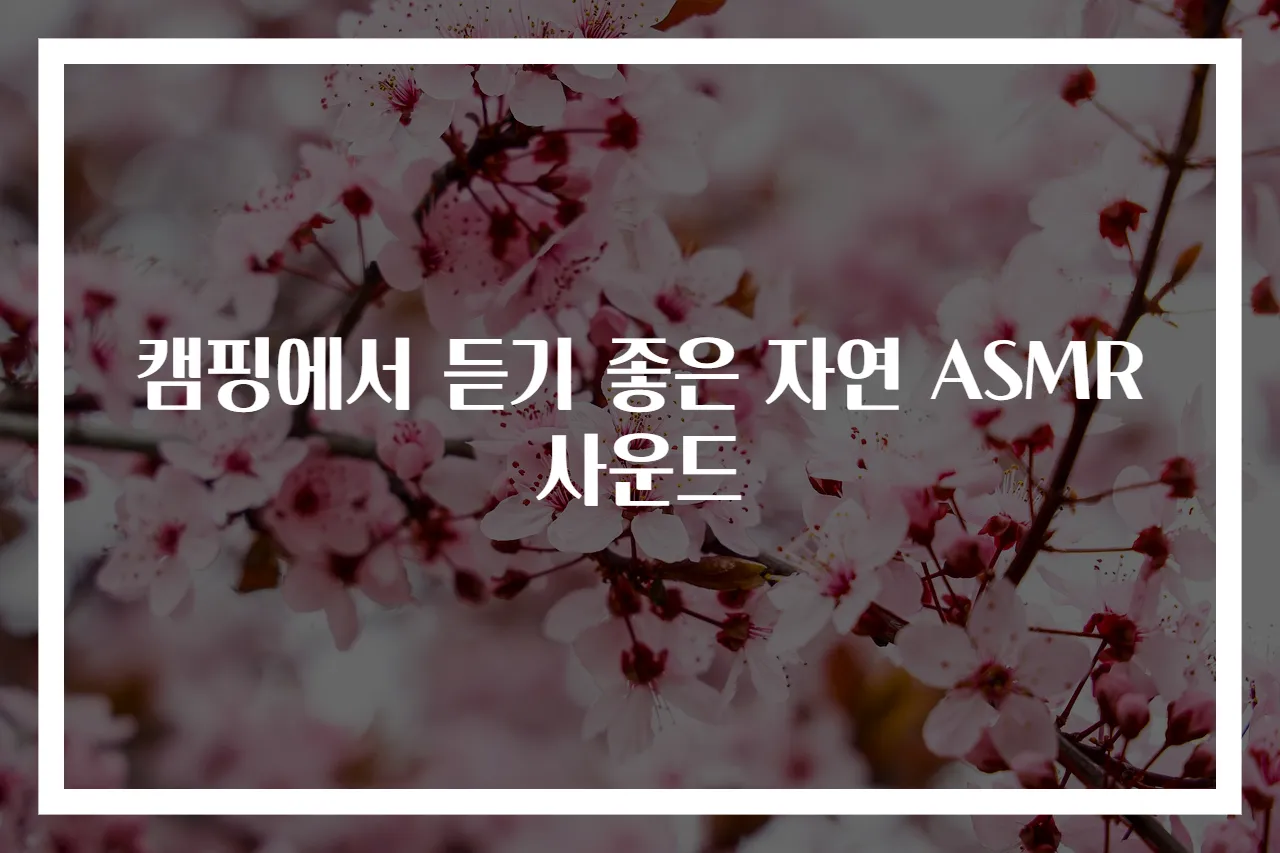 캠핑에서 듣기 좋은 자연 ASMR 사운드