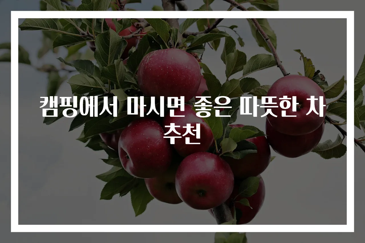 캠핑에서 마시면 좋은 따뜻한 차 추천