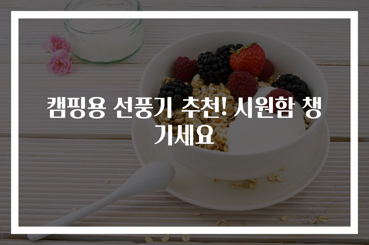 캠핑용 선풍기 추천! 시원함 챙기세요
