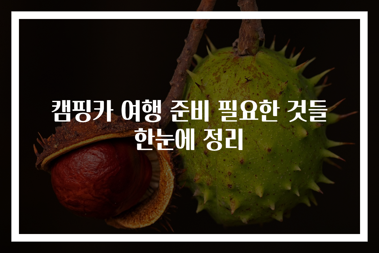 캠핑카 여행 준비 필요한 것들 한눈에 정리