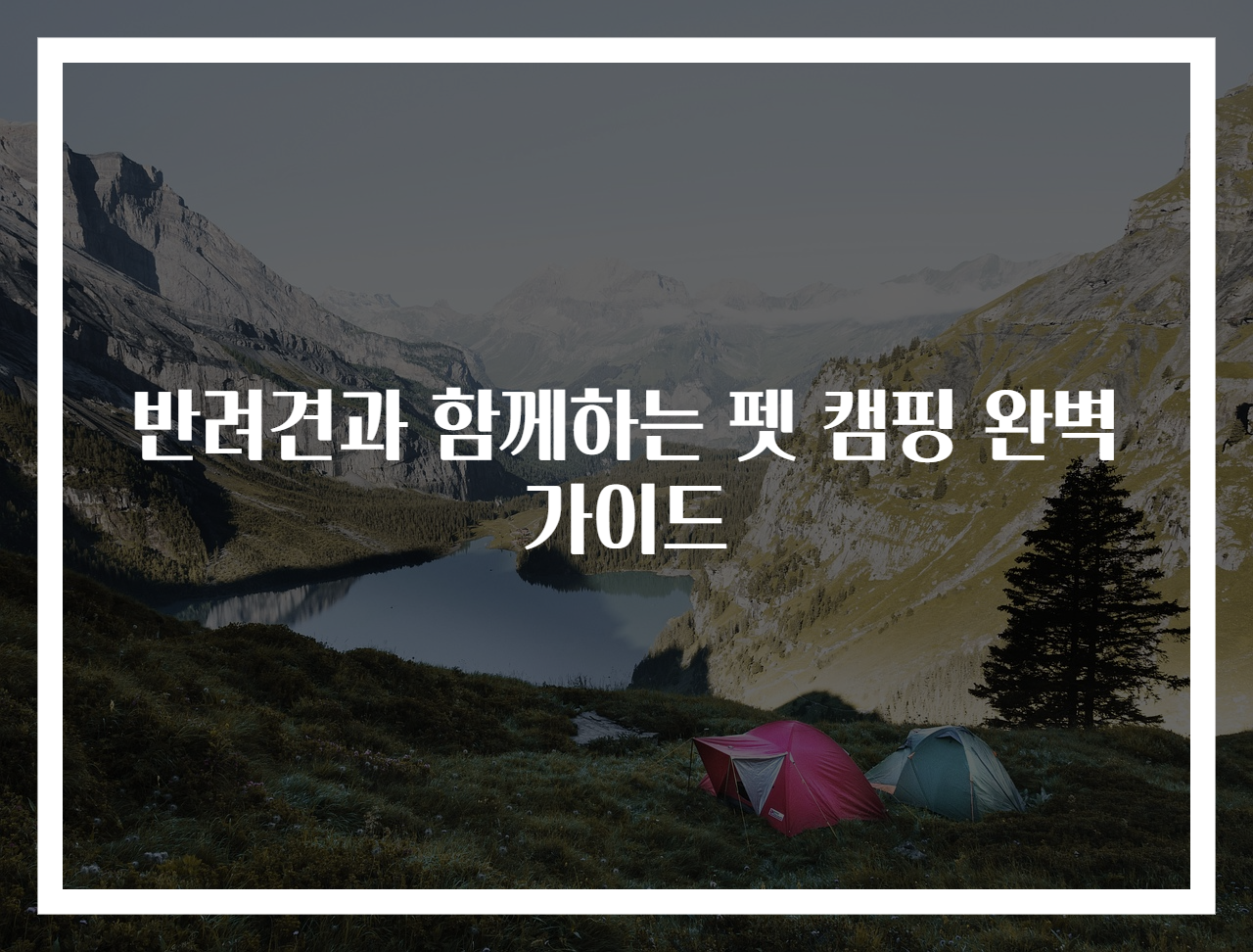 반려견과 함께하는 펫 캠핑 완벽 가이드